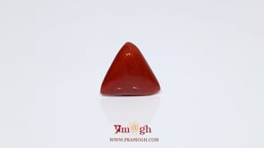 Red Coral - 8.7 Carat