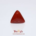 Red Coral - 8.7 Carat