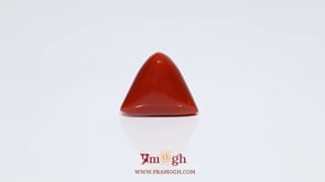 Red Coral - 7.55 Carat
