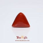 Red Coral - 7.55 Carat