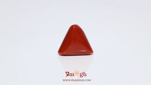 Red Coral - 9.45 Carat