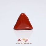 Red Coral - 9.45 Carat