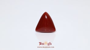 Red Coral - 9.2 Carat