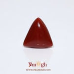 Red Coral - 9.2 Carat