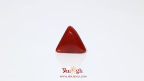Red Coral - 6.1 Carat