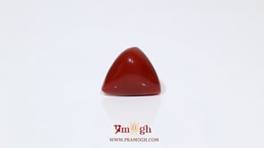 Red Coral - 7.45 Carat
