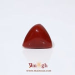 Red Coral - 7.45 Carat