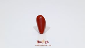 Red Coral - 6.5 Carat