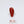 Load and play video in Gallery viewer, Red Coral - 6.5 Carat
