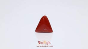 Red Coral - 6.3 Carat