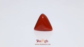 Red Coral - 8 Carat