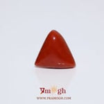 Red Coral - 8 Carat