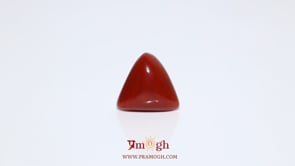 Red Coral - 8.1 Carat