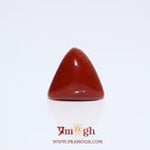 Red Coral - 8.1 Carat