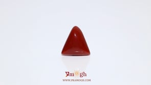 Red Coral - 5.95 Carat