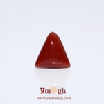 Red Coral - 5.95 Carat