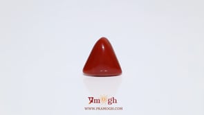 Red Coral - 6.45 Carat