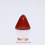 Red Coral - 6.45 Carat