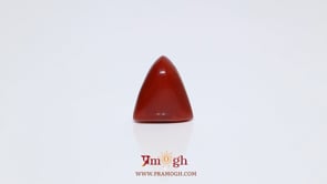 Red Coral - 6.35 Carat