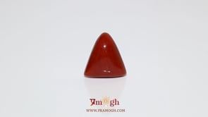 Red Coral - 7.7 Carat