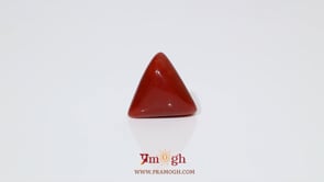 Red Coral - 6.3 Carat