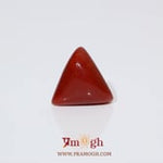Red Coral - 6.3 Carat