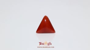 Red Coral - 6.3 Carat