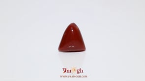 Red Coral - 7.2 Carat