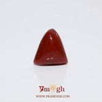 Red Coral - 7.2 Carat