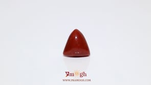 Red Coral - 6.15 Carat