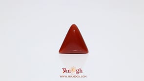 Red Coral - 5.95 Carat