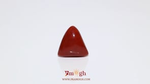 Red Coral - 7.65 Carat