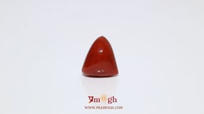 Red Coral - 6.75 Carat