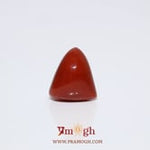 Red Coral - 6.75 Carat