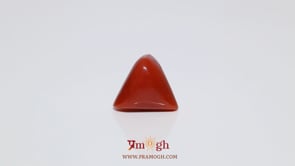 Red Coral - 8.5 Carat