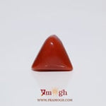 Red Coral - 8.5 Carat
