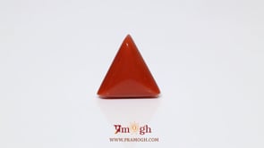 Red Coral - 9.25 Carat
