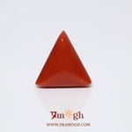 Red Coral - 9.25 Carat
