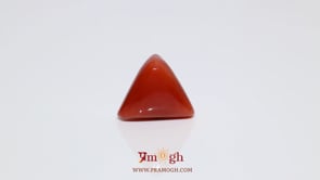 Red Coral - 9.65 Carat