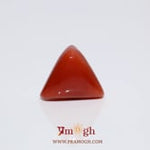 Red Coral - 9.65 Carat