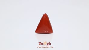 Red Coral - 8.65 Carat