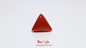 Red Coral - 8.65 Carat