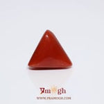 Red Coral - 8.65 Carat