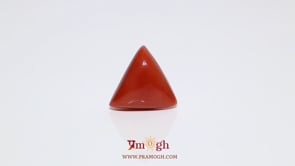 Red Coral - 8.75 Carat