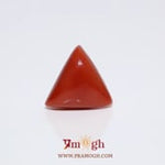 Red Coral - 8.75 Carat