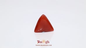 Red Coral - 8.5 Carat
