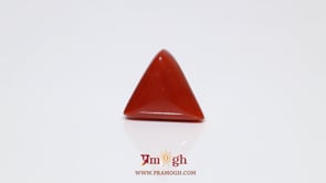 Red Coral - 9.25 Carat