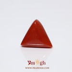 Red Coral - 9.25 Carat