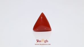 Red Coral - 9.35 Carat