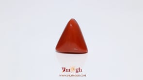 Red Coral - 11.7 Carat